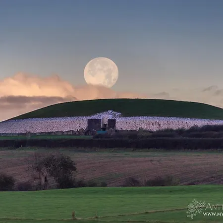 Forest Hills 3* سلان